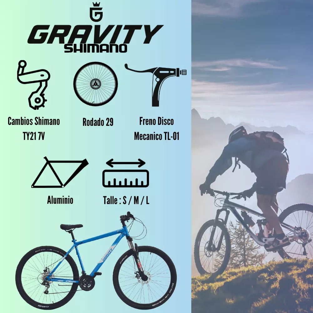 Bicicleta Gravity Mtb R29 M21 Lowrider Talle S/m/l Shimano